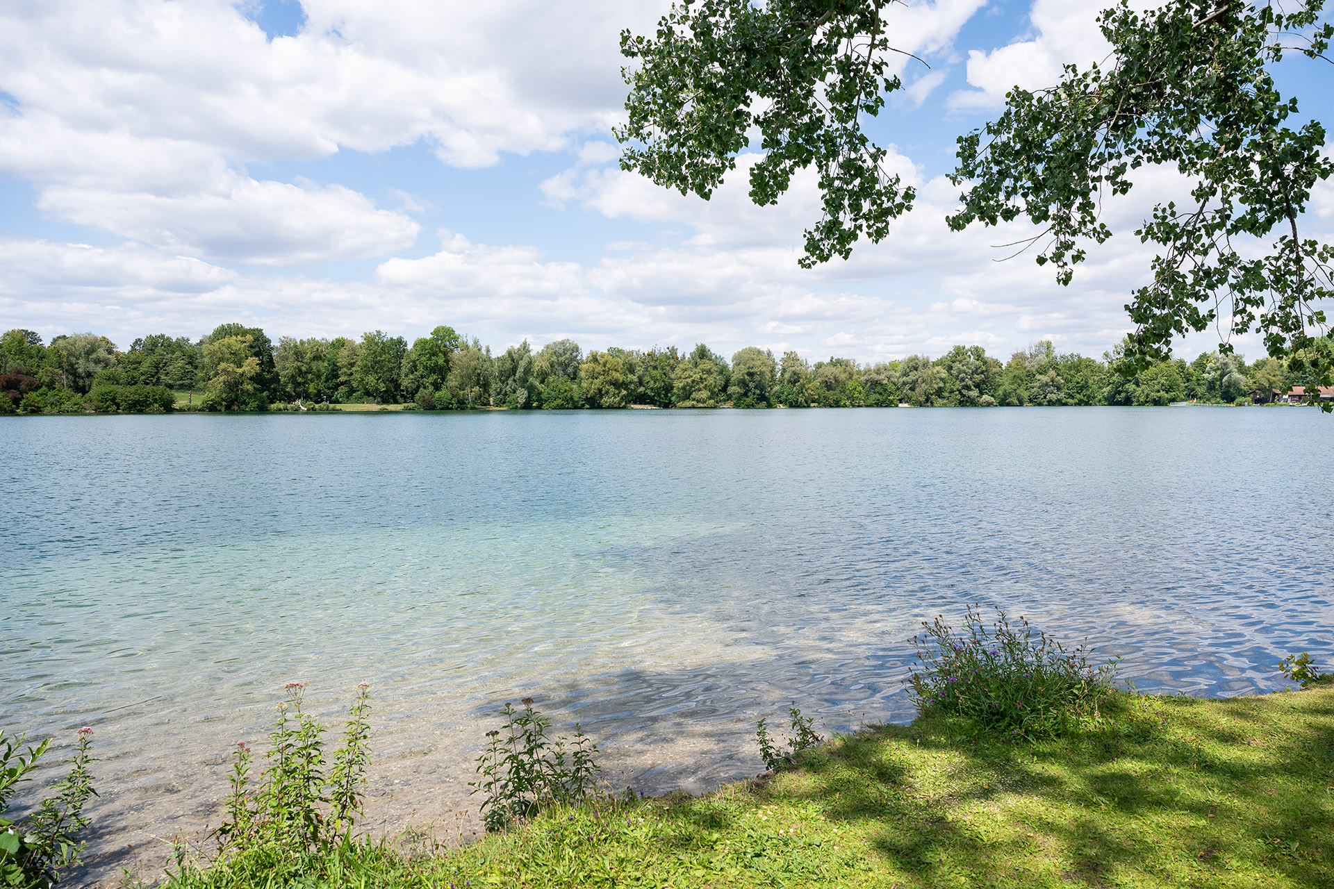 Feldmochinger See (10 Radminuten entfernt) Feldmochinger See