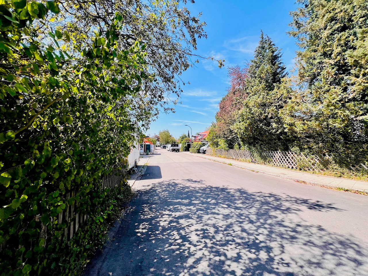 der Tannenweg (ruhige Anliegerstrasse) der Tannenweg (ruhige Anliegerstrasse)